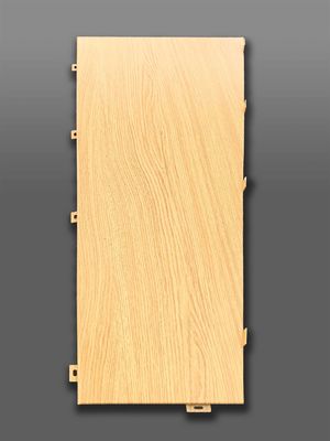 La finition en aluminium de qualité supérieure élève l'esthétique architecturale à de nouveaux sommets