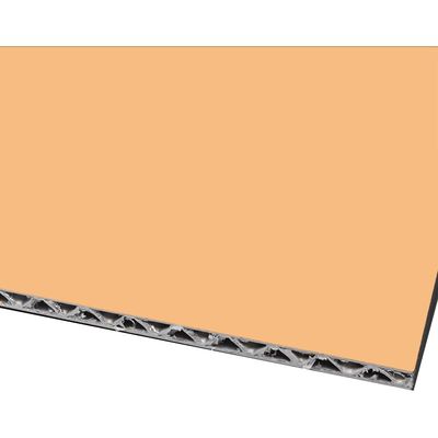 Panneaux de noyau en aluminium 3D Résistance thermique redéfinie Conçue pour s'adapter de manière transparente aux changements de température Prévenir les dommages induits par le stress Pour une intégrité structurelle durable Modèles 3D